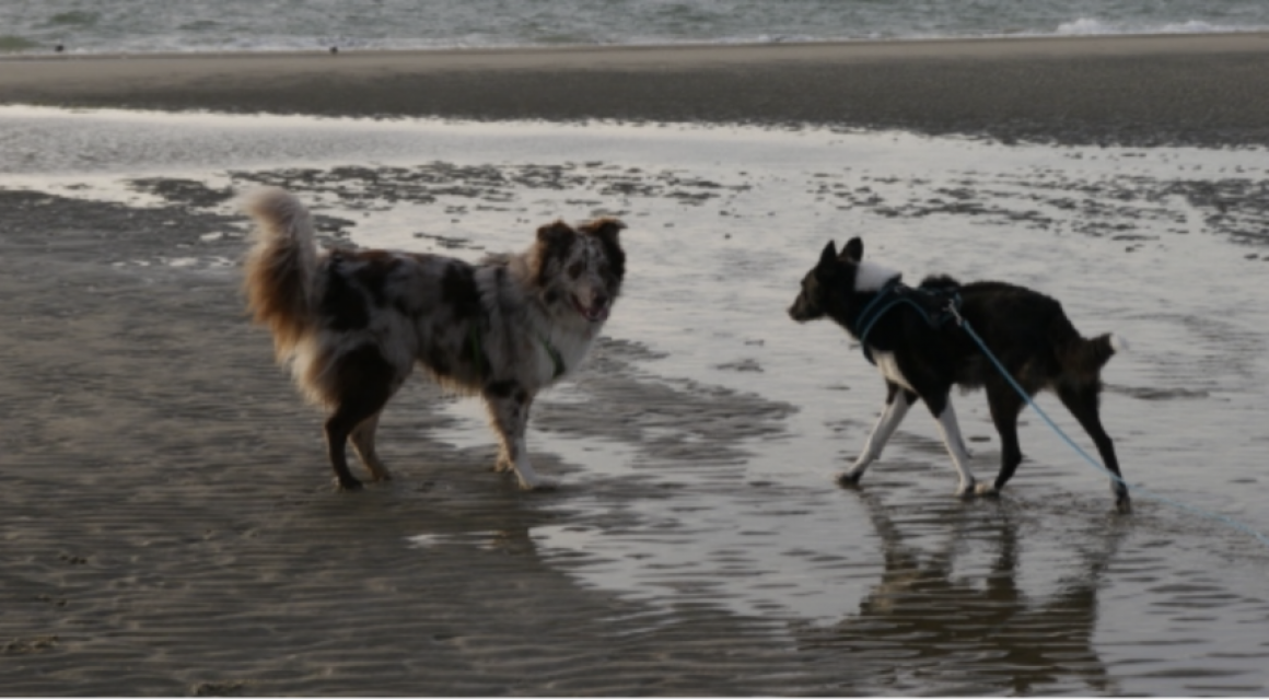 Bildschirmfoto 2022-05-20 um 11.50.46 Zur Ruhe kommen