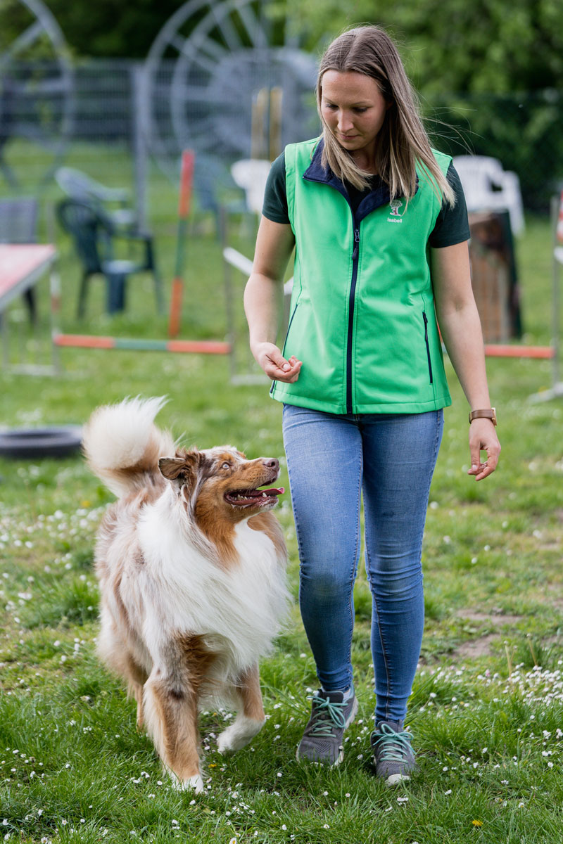 Hundeschule am Schwanheimer Wald