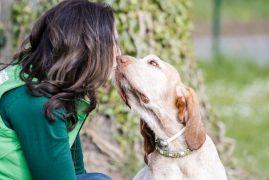 Hundeschule am Schwanheimer Wald