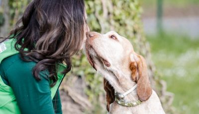 Entspannung für Jagd- und Hütehunde – Neuer Kurs im Mai – ein Platz ist noch frei!