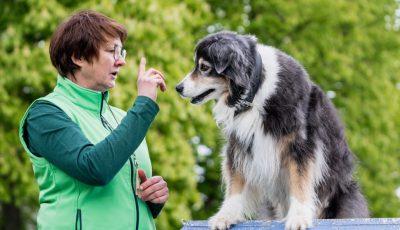 Noch ein freier Platz im Dummy-Kurs für Einsteiger!