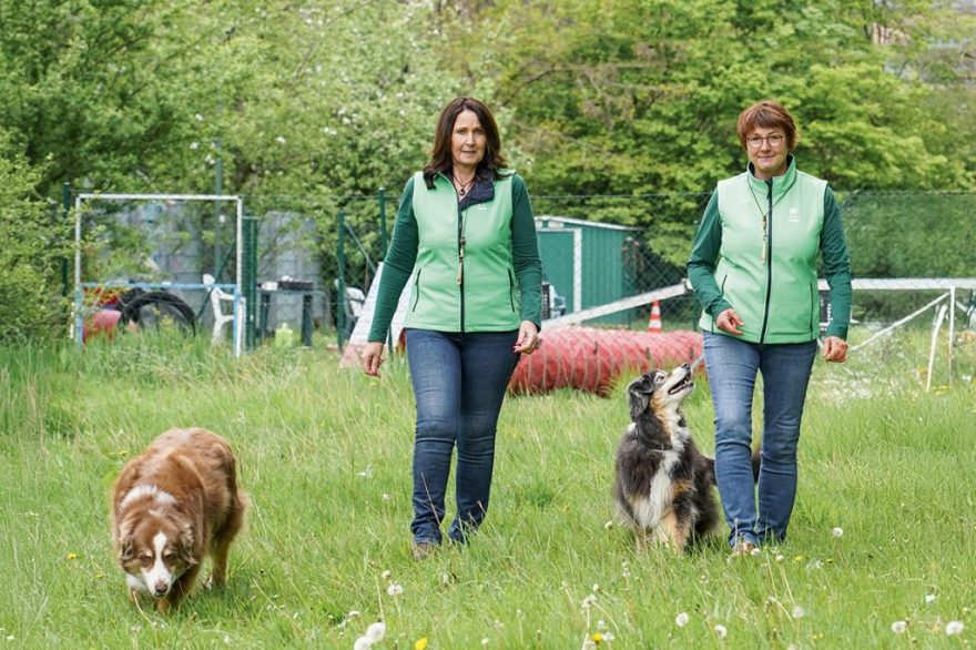 Hundeschule am Schwanheimer Wald