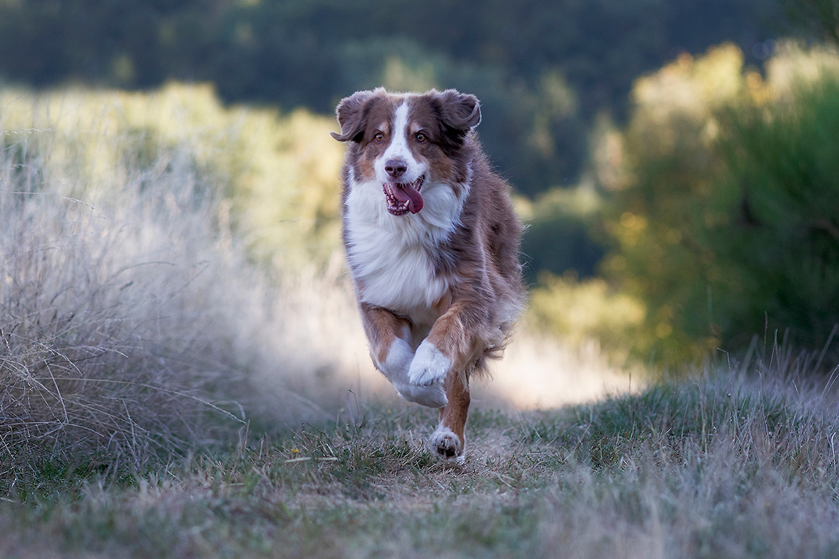 Der „Klappt-auf-jeden-Fall“-Rückruf